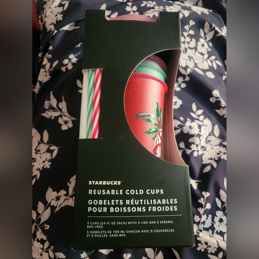 Starbucks Red and Green Reusable Cold Cup Set with Straws